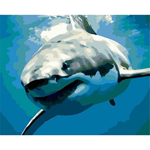 YSCOLOR Diy Malen Nach Zahlen Hai Malen Nach Zahlen Für Erwachsene Und Kinder Diy Acryl Pigment Ölgemälde Geschenk Kits Vorbedruckte Leinwand 40X50cm von YSCOLOR