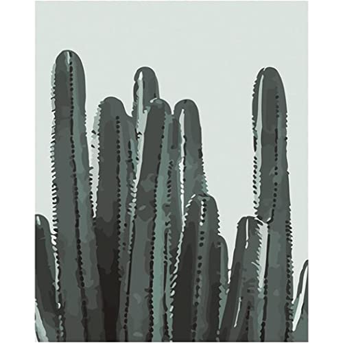 YSCOLOR Kaktus Pflanze Diy Malen Nach Zahlen Kits Anfänger Ölgemälde Kunsthandwerk Für Zuhause Wohnzimmer Wanddekoration Geschenk 40X50cm von YSCOLOR