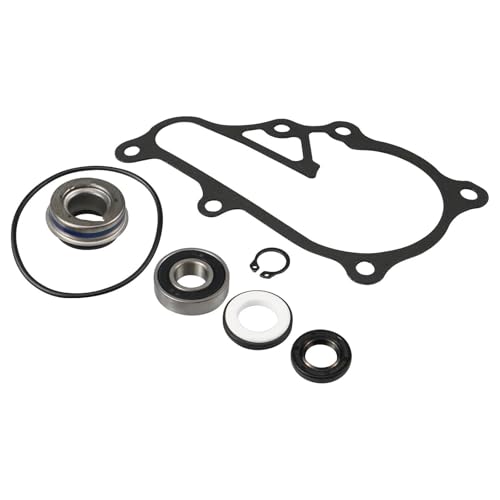 Dichtung für Motorstatordeckel Für Y&amaha Für Raptor 700 2006-2023 Für Raptor 700R 2009-2023 Motorrad Wasserpumpe Mechanische Dichtung Dichtung Kit von YSDSLS