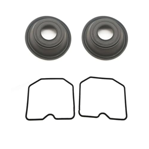 YSDSLS Vergaser Reparatur Kit Für EX500 Für GPZ500 Für GPZ500S Für GPZ Für EX Für EN 500 Für Ninja 500R Für EN500 Membran Nadel Ventil Float Schwimmerventil(Style1) von YSDSLS