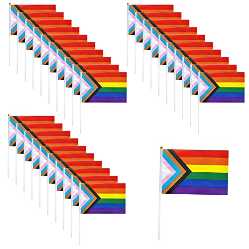 30 Stück kleine Stolz-Flaggen, hält Regenbogen-Stolz-Flaggen, Mini-LGBT-Handflaggen, wasserdichter Sonnenschutz, verblasst nicht leicht, für Party-Paraden, Karneval, Festival-Dekorationen und Feiern von YSDYY