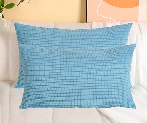2 Stück Kopfkissenbezug, Rechteck Sofakissenbezüge, Polarfleece Komfortabel Kissenbezüge, mit Unsichtbarem Reißverschluss Kissenhüllen, für Sofa, Bett, Couch, Wohnzimmer, Schlafzimmer(Light blue,40 x 2 Stück Kopfkissenbezug, Rechteck Sofakissenbezüge, Polarfleece Komfortabel Kissenbezüge, mit Unsichtbarem Reißverschluss Kissenhüllen, für Sofa, Bett, Couch, Wohnzimmer, Schlafzimmer(Light blue,40 x von YSPZDQ