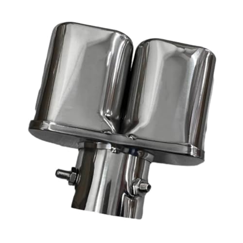 YSQOFJDFJ Auspuffrohr Universal Auto hinten Doppelauspuffrohr Endschalldämpfer Spitze Hals Endrohr Endstück Edelstahl Blau Doppelauspuffrohr modifiziert Endrohr(Straight Silver) von YSQOFJDFJ