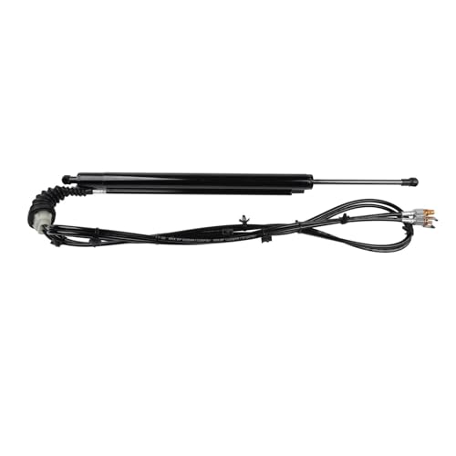 YSQOJF Elektrische Gasfeder Links Power Heckklappe Heckklappe Antrieb Luke 23429744 für Cadillac SRX 3,6 L V6 2010 2011 2012 2013 2014 2015 2016 Heckklappenöffner YSQOJF Elektrische Gasfeder Links Power Heckklappe Heckklappe Antrieb Luke 23429744 für Cadillac SRX 3,6 L V6 2010 2011 2012 2013 2014 2015 2016 Heckklappenöffner von YSQOJF