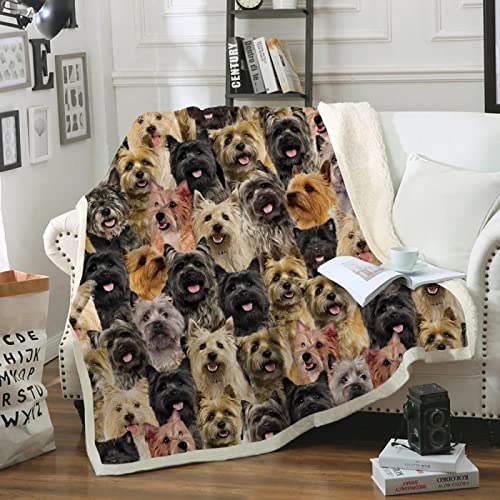 Cairn-Terrier Kuscheldecke Kinder Erwachsene Decke Flauschig Flanell Fleecedecke Wohndecke Soft 3D Tier Hund Drucken Warm Winter Mikrofaserdecke Sofadecke Tagesdecke 130x150 cm von YSWFGE
