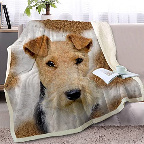 Draht Foxterrier Kuscheldecke Kinder Erwachsene Decke Flauschig Flanell Fleecedecke Wohndecke Soft 3D Tier Hund Drucken Warm Winter Mikrofaserdecke Sofadecke Tagesdecke 130x150 cm von YSWFGE