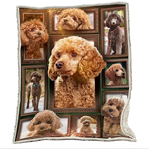 Pudel Kuscheldecke Kinder Erwachsene Decke Flauschig Flanell Fleecedecke Wohndecke Soft 3D Tier Hund Drucken Warm Winter Mikrofaserdecke Sofadecke Tagesdecke 150x200 cm Pudel Kuscheldecke Kinder Erwachsene Decke Flauschig Flanell Fleecedecke Wohndecke Soft 3D Tier Hund Drucken Warm Winter Mikrofaserdecke Sofadecke Tagesdecke 150x200 cm von YSWFGE