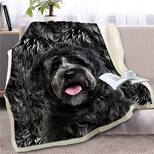 Tibet Terrier Kuscheldecke Kinder Erwachsene Decke Flauschig Flanell Fleecedecke Wohndecke Soft 3D Tier Hund Drucken Warm Winter Mikrofaserdecke Sofadecke Tagesdecke 130x150 cm Tibet Terrier Kuscheldecke Kinder Erwachsene Decke Flauschig Flanell Fleecedecke Wohndecke Soft 3D Tier Hund Drucken Warm Winter Mikrofaserdecke Sofadecke Tagesdecke 130x150 cm von YSWFGE