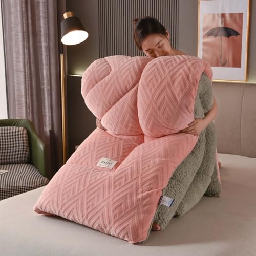 YSZBD Steppdecke Dicke Extra Warme Bettdecke Schlafdecke Winter Flauschige Steppdecken Duvet Verdicken Lamm Kaschmir Doppelseitiges Decke Winterbettdecke Plüsch Winterdecke(#6,180x220cm-3.5kg) von YSZBD