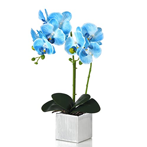 YSZL Künstliche Orchidee, künstliche Phalaenopsis-Seide, Bonsai, realistisches Arrangement in silberfarbener Vase für Heimdekoration, Tischdekoration, Blau von YSZL