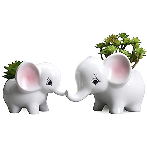 YSoutstripdu 2Pcs Lovely Elephant Succulent Plant Container Ceramic Bonsai Flower Pot Bonsai Ornament Home Decor von Roadoor