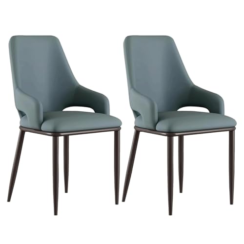YTGHBIML eßzimmerstühle Moderne Esszimmerstühle, 2er-Set, Ledergepolsterter Esszimmerstuhl mit Armlehnen, hohe Rückenlehne, Metallbeine, Küchenstühle Ergonomischer von YTGHBIML