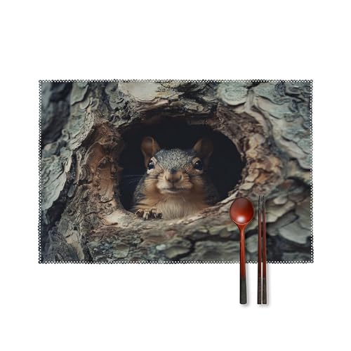 Tischsets Tischsets 6er Set Eichhörnchen im Baumloch Bedrucktes Platzset Wärme für Küchentisch Indoor Outdoor Platzset Abwischbar Esstisch Matten von YTLKGFP