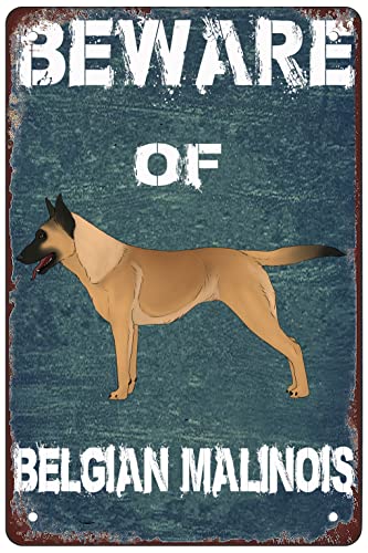 YTOMEAT Lustiges Warnschild "Beware of Belgian Malinois for Outdoor & Indoor Veranda Wall Hanging Decoration Size:8x12 YTOMEAT Lustiges Warnschild "Beware of Belgian Malinois for Outdoor & Indoor Veranda Wall Hanging Decoration Size:8x12 von YTOMEAT
