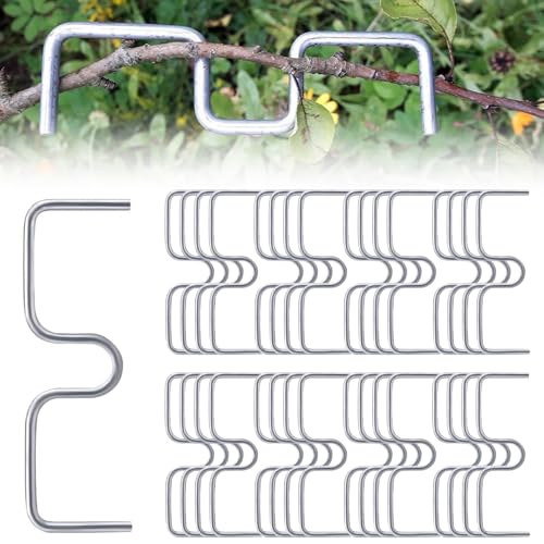 YTSMFL 50 Stück Astspreizer für Obstbäume, Metall M Förmiger Astspreizer Astklammern Metall für Gartenzweige Zum Spreizen und Ebnen von Obstbaumzweigen von YTSMFL