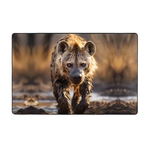 YTUOPWE Lone Hyena Flanellstoff-Teppich, 152,4 x 99,1 cm, Bodenmatte für Wohnzimmer, Büro, Couchtisch, Bett, Balkon von YTUOPWE