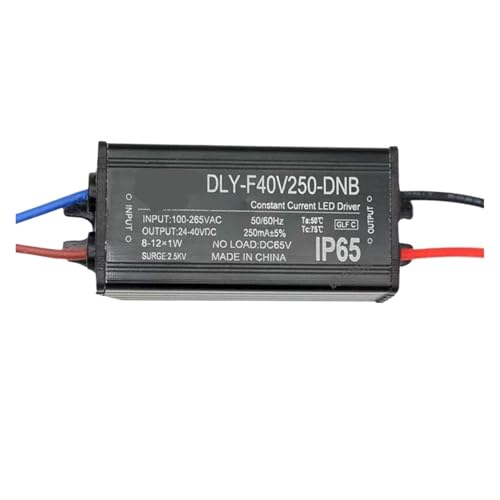 YTWNICAC Led-straßenleuchte Fahrer netzteil zubehör 3W flutlicht Tunnel 60 W-80 W bergbau Lampe transformator Ballast(F40V250-DNB 12W 24-40V 250mA) von YTWNICAC