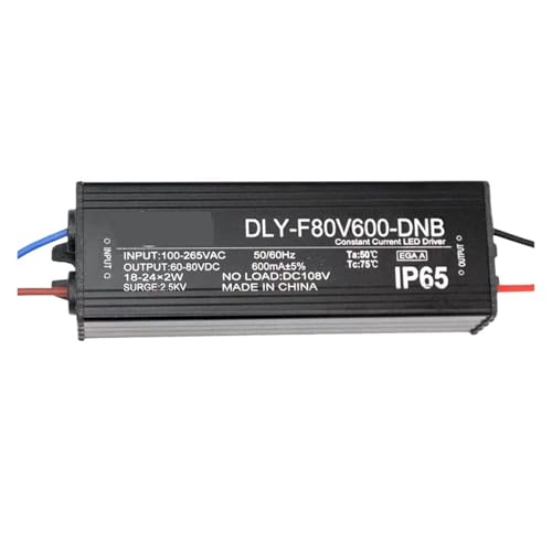 YTWNICAC Led-straßenleuchte Fahrer netzteil zubehör 3W flutlicht Tunnel 60 W-80 W bergbau Lampe transformator Ballast(F80V600-DNB 48W 54-80V 600mA) von YTWNICAC