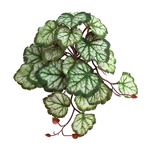 YTtkku Künstliches Terrarium, bedruckte Blätter, Amphibienpflanze für Aquarien, Lebensraum, Dekoration für Leguan-Fo-Terrarium, künstlich YTtkku Künstliches Terrarium, bedruckte Blätter, Amphibienpflanze für Aquarien, Lebensraum, Dekoration für Leguan-Fo-Terrarium, künstlich von YTtkku