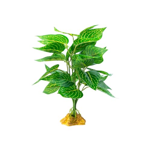 YTtkku Reptilien Pflanze Amphibien Hängende Harze Pflanze Eidechsen Terrarien Dekoration für Klettern und Sonnen Eidechsen Terrarien Zubehör YTtkku Reptilien Pflanze Amphibien Hängende Harze Pflanze Eidechsen Terrarien Dekoration für Klettern und Sonnen Eidechsen Terrarien Zubehör von YTtkku