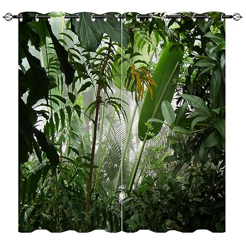 YUANZU Mistiger Dschungel Vorhänge Natur Regenwald Szene Ösen Gardinen mit Blickdichte Vorhang Kälteschutz Blackout Curtain Wohnzimmer Schlafzimmer Verdunkelung Fenster, 2 Stück, H 160 x B 106 cm von YUANZU