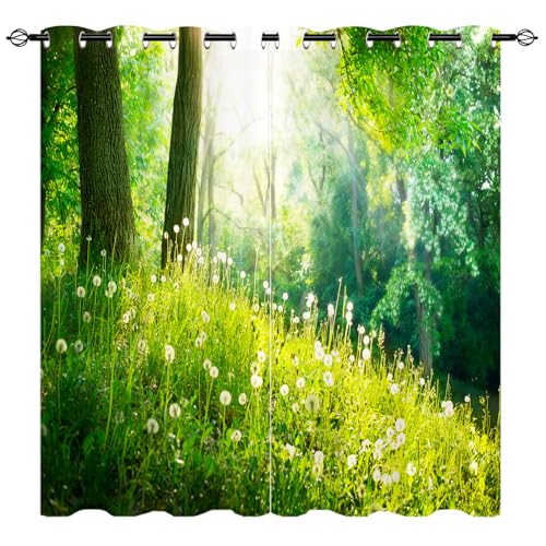 YUANZU Natur Vorhänge Frühling Park mit grünem Gras Bäumen Ösen Gardinen mit Blickdichte Vorhang Kälteschutz Blackout Curtain Wohnzimmer Schlafzimmer Verdunkelung Fenster, 2 Stück, H 137 x B 132 cm YUANZU Natur Vorhänge Frühling Park mit grünem Gras Bäumen Ösen Gardinen mit Blickdichte Vorhang Kälteschutz Blackout Curtain Wohnzimmer Schlafzimmer Verdunkelung Fenster, 2 Stück, H 137 x B 132 cm von YUANZU