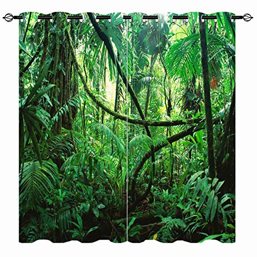 YUANZU Regenwald Vorhänge Tropischer Wald Pflanze Ösen Gardinen mit Blickdichte Thermo Vorhang Kälteschutz Blackout Curtain Wohnzimmer Schlafzimmer Verdunkelung Fenster, 2 Stück, H 114 x B 132 cm von YUANZU