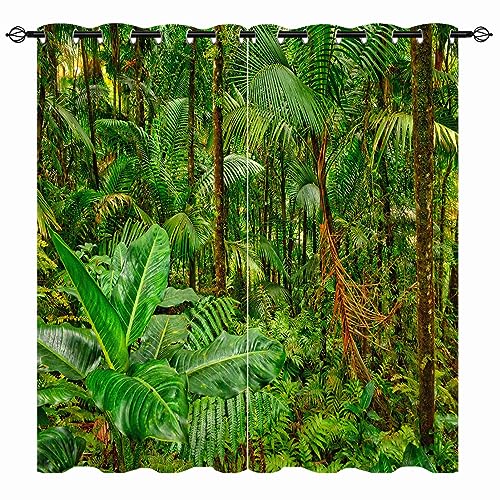 YUANZU Regenwald Vorhänge Wald Dschungel Tropische Natur Thema Landschaft Ösen Gardinen mit Blickdichte Vorhang Blackout Curtain Wohnzimmer Schlafzimmer Verdunkelung Fenster, 2 Stück, H 229 x B 168 cm YUANZU Regenwald Vorhänge Wald Dschungel Tropische Natur Thema Landschaft Ösen Gardinen mit Blickdichte Vorhang Blackout Curtain Wohnzimmer Schlafzimmer Verdunkelung Fenster, 2 Stück, H 229 x B 168 cm von YUANZU
