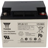 Blei-Akku NPL38-12I Pb 12V / 38Ah 10-12 Jahresbatterie, M5 Innen - Yuasa von YUASA