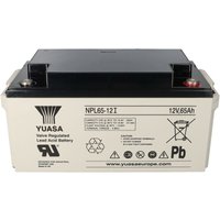 Yuasa Blei-Akku NPL65-12I Pb 12V / 65Ah 10-12 Jahresbatterie, M6 Innen von YUASA