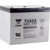 Yuasa - neuwertig] Rec80 12 Yuarec8012 Bleiakku 12 v 80 Ah Blei Vlies Modellbau Akkus Batterie B-Ware von YUASA