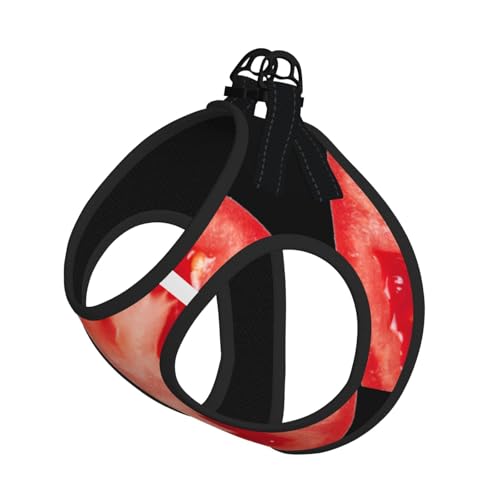Tomatenscheiben-Druck, Welpengeschirr mit reflektierendem Muster, Hundezubehör für kleine, mittelgroße und große Hunde und Katzen Tomatenscheiben-Druck, Welpengeschirr mit reflektierendem Muster, Hundezubehör für kleine, mittelgroße und große Hunde und Katzen von YUBVCF