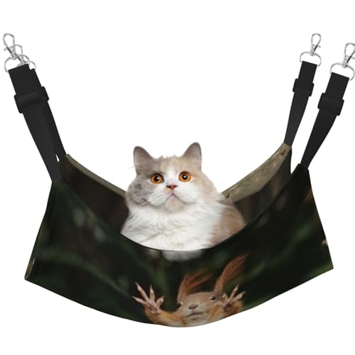 YUBVCF Eichhörnchen, lustiges Tierbett, weich, für Frettchen, Kätzchen, Welpen, kleine Hunde, verstellbarer Gurt von YUBVCF