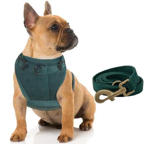 YUDOTE Hundegeschirr und Leine, weicher Cord und Netzstoff, gepolstert, mit 1,5 m langer Leine, für mittelgroße Hunde mit empfindlicher Haut, Grün von YUDOTE