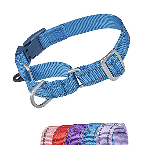 YUDOTE Reflektierende Martingale Hundehalsbänder,ausbruchsicheres Anti-Zug-Trainingshalsband mit Sicherheits-Schnellverschluss für schmale Kopfhunde erleichtern das Gehen,Extra Klein,Blau von YUDOTE