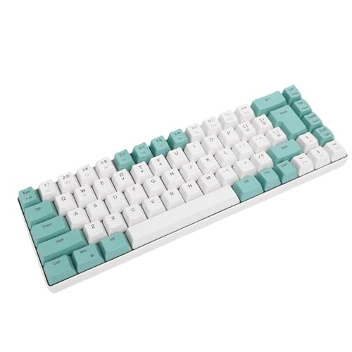 YUEHISY 68 Key Compact RGB Backlit Gaming Kabel-Tastatur, Ergonomisches Design mit Taktilen Tasten, Kompatibel mit PCs und Laptops (Grüner weißer Farbblock) von YUEHISY