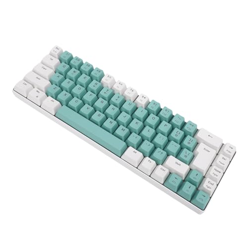 YUEHISY 68 Key Compact RGB Backlit Gaming Kabel-Tastatur, Ergonomisches Design mit Taktilen Tasten, Kompatibel mit PCs und Laptops (Weißgrün -Farbblock) von YUEHISY