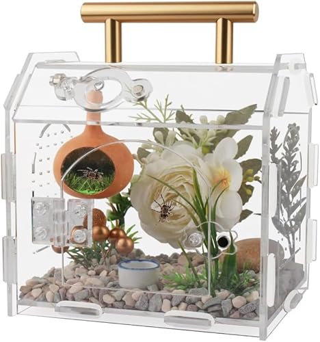 YUEHUA Acryl Terrarium Klar DIY Terrarium Box mit Fronttür Hausform Lebensraum Acryl Gehege für Insekten, Spinnen, Schnecken (15 x 12 x 14 cm) YUEHUA Acryl Terrarium Klar DIY Terrarium Box mit Fronttür Hausform Lebensraum Acryl Gehege für Insekten, Spinnen, Schnecken (15 x 12 x 14 cm) von YUEHUA