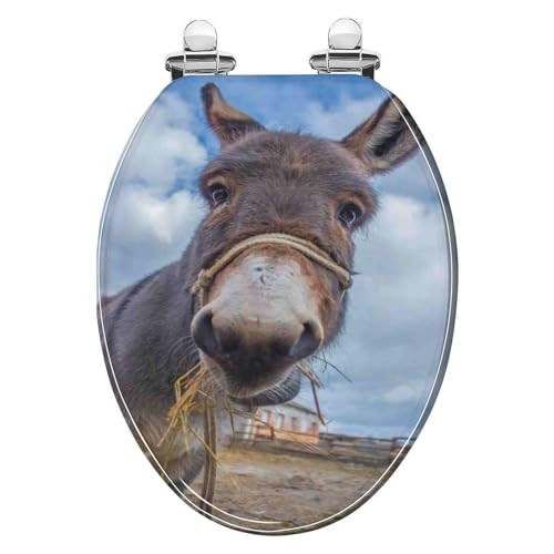 Toilettensitz, langsam schließender Toilettensitz Resin Toilet Seat Slow Close 36x43cm 10-20cm Hole Distance For U V O Shape Toilets(R Style) von YUEKOPOU