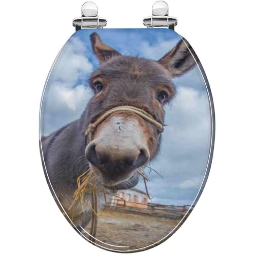 Toilettensitz, langsam schließender Toilettensitz Slow Close Quick Release Oval Toilet Seat 43x36 cm(Style-18) von YUEKOPOU