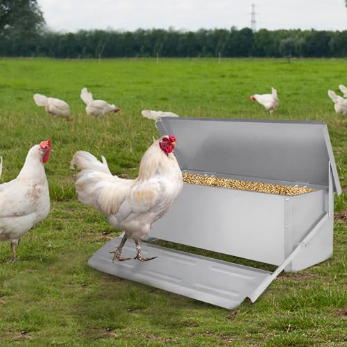 YUENFONG 10kg Hühner Futterautomat Automatischer Futterspender Feeder Hühnerfutterautomat mit Deckel, Wetterfester futtertrog aus Verzinkter, für Geflügel Enten Hühner von YUENFONG