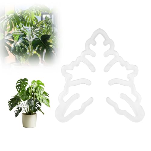 Pflanzenstütze Monstera Pflanzenstütze Staudenhalter Garten Stützring Monstera Grappler Durchsichtige Pflanzenstütze Stängelstützenhalter Monstera Pflanzenclip Pflanzengreifer Stielhalter Acryl (B) Pflanzenstütze Monstera Pflanzenstütze Staudenhalter Garten Stützring Monstera Grappler Durchsichtige Pflanzenstütze Stängelstützenhalter Monstera Pflanzenclip Pflanzengreifer Stielhalter Acryl (B) von YUEXNKO