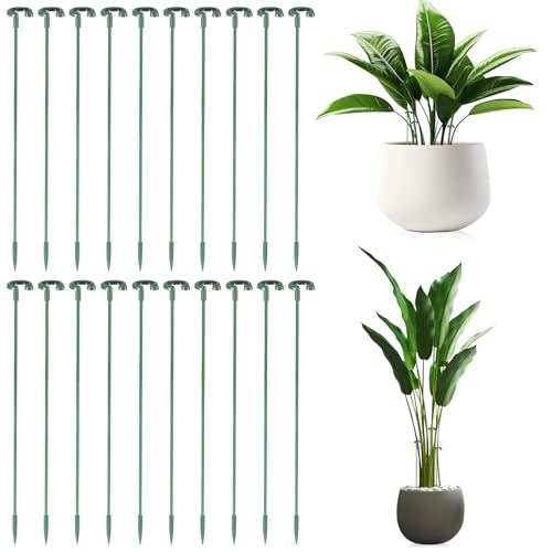 20 Stück Stück Pflanzenstütze, 27 cm Fiberglas-Pflanzenhalter, Pflanzenstützstab für Pflanzen, Schützen vor Neigung, Dekorative Stützstäbe vor Pflanzen für Pfingstrosen, Hortensien, Phalaenopsis 20 Stück Stück Pflanzenstütze, 27 cm Fiberglas-Pflanzenhalter, Pflanzenstützstab für Pflanzen, Schützen vor Neigung, Dekorative Stützstäbe vor Pflanzen für Pfingstrosen, Hortensien, Phalaenopsis von YUFFQOPC