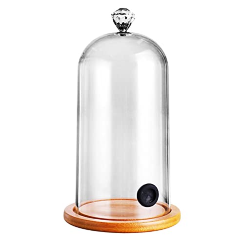 Plastik Rauchen Cloche Motorhaube Molekulare Küche Futter Kuppel Deckung Für Cocktailkuchen von YUGSHNKFC