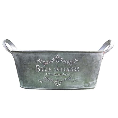 YUGSHNKFC Metallvasen für Blumen, Eisen-Blumeneimer, Metall-Blumenvase für Heimdekoration, Hochzeit, Tischdekoration, Vintage-Metall-Eimer, Pflanzgefäß YUGSHNKFC Metallvasen für Blumen, Eisen-Blumeneimer, Metall-Blumenvase für Heimdekoration, Hochzeit, Tischdekoration, Vintage-Metall-Eimer, Pflanzgefäß von YUGSHNKFC