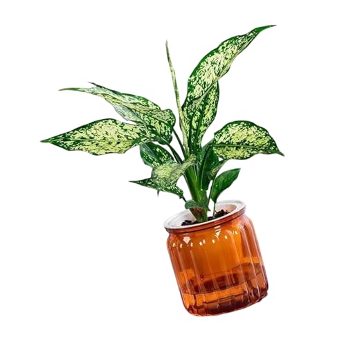 YUGSHNKFC Moderne Innengartentöpfe Bequemer Selbstbewässerungspflanze Für Wohnzimmer Hausbeschäftigter Professioneller Gartenbegeisterte Eleganter Pflanzenbehälter YUGSHNKFC Moderne Innengartentöpfe Bequemer Selbstbewässerungspflanze Für Wohnzimmer Hausbeschäftigter Professioneller Gartenbegeisterte Eleganter Pflanzenbehälter von YUGSHNKFC