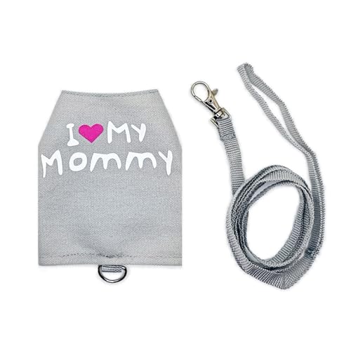 YUGSHNKFC Noctilucous Eidechsengurt Und Leine Set Für Kleine Tiere Freien Aktivitäten Reptilien Walking Gear Kabelbaum Weste Trainer Anzug Reptilien Trainingsausrüstung von YUGSHNKFC