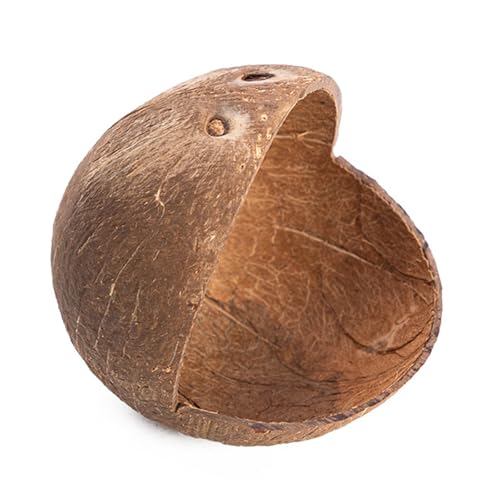 YUGSHNKFC Zwerghamster Verstecke Natürliche Kokosnüsse Klettern Sie Leiter Für Kleine Hamster Sicheres Kauenspielzeug Für Tiere Haustier Versteck Haus YUGSHNKFC Zwerghamster Verstecke Natürliche Kokosnüsse Klettern Sie Leiter Für Kleine Hamster Sicheres Kauenspielzeug Für Tiere Haustier Versteck Haus von YUGSHNKFC