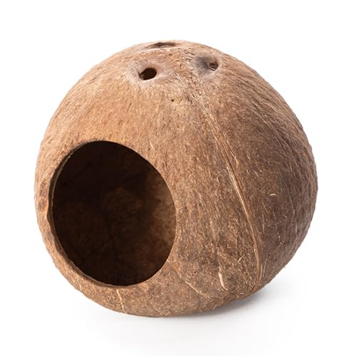 YUGSHNKFC Zwerghamster Verstecke Natürliche Kokosnüsse Klettern Sie Leiter Für Kleine Hamster Sicheres Kauenspielzeug Für Tiere Haustier Versteck Haus von YUGSHNKFC