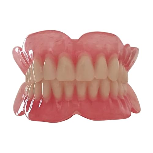 Vollständiges Ober- und Unterkieferprothesenmodell, lebensgroßes Acryl-Demonstrationsset for die Patientenaufklärung von Zahnärzten Zahnmedizinstudenten von YUIHATF